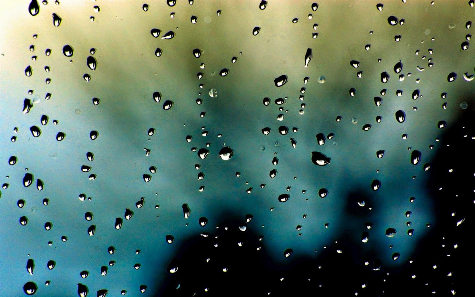Beauty-of-Rain-Android-Phone-Wallpaper-HD-Wallpapers-for-Android